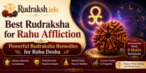 Best Rudraksha for Rahu Affliction | Powerful Rudraksha Remedies for Rahu Dosha